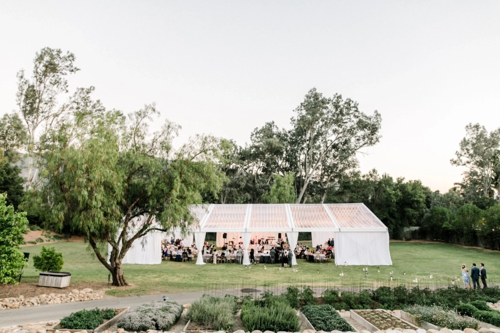 RSVP System Wedding Wire vs The Knot .jpg